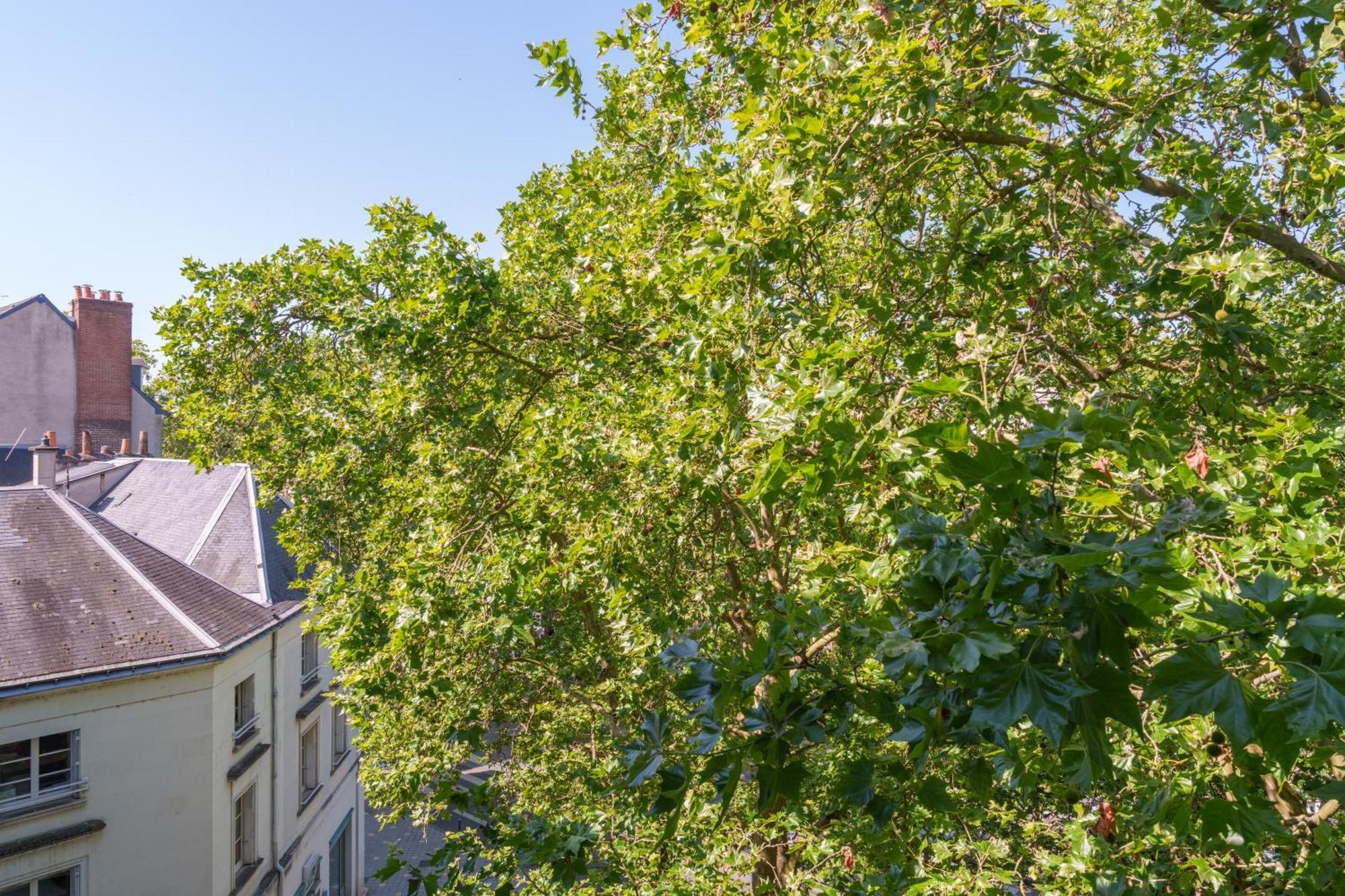Appartement Tours Centre Avec Parking 4 P Zewnętrze zdjęcie